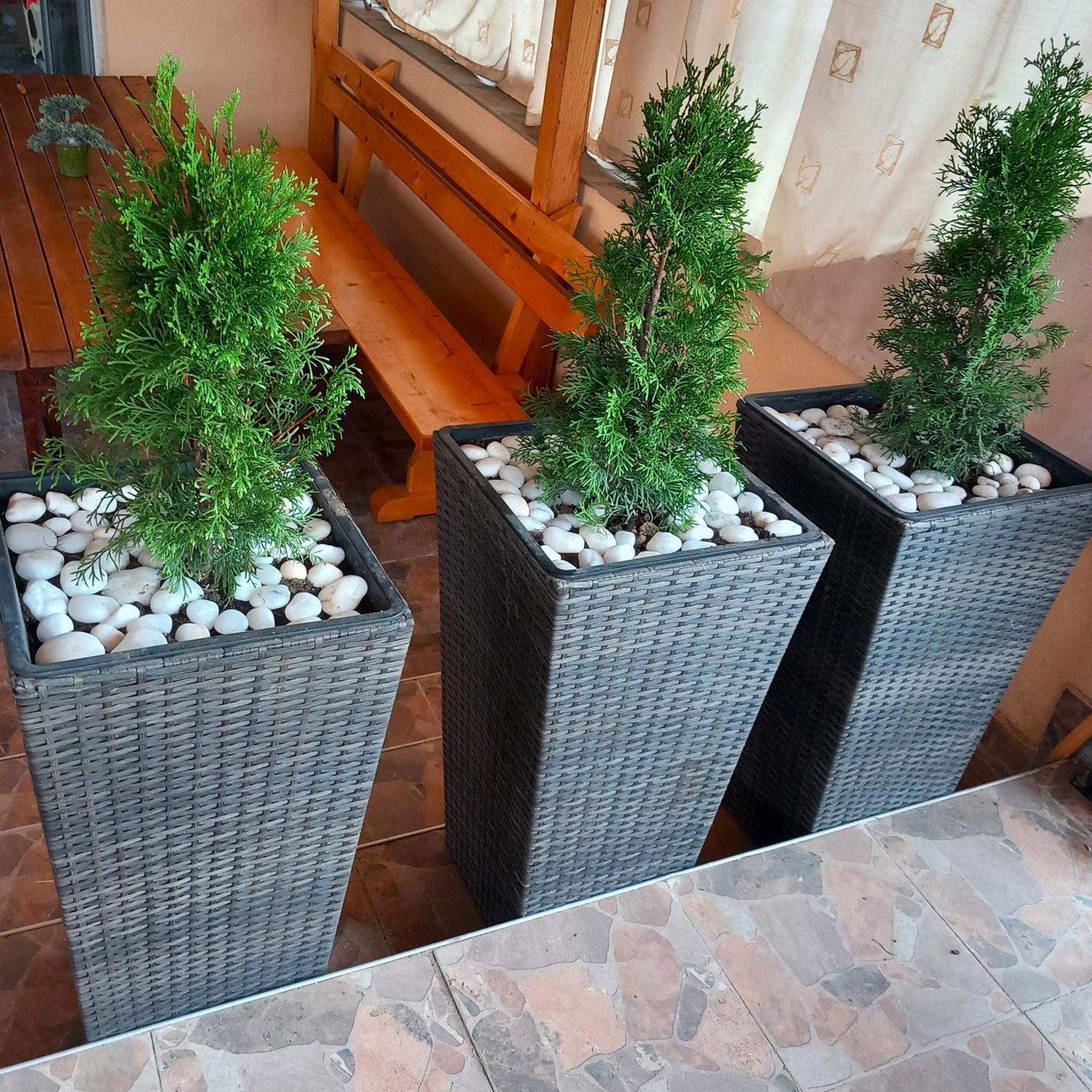 Vibo Guesthouse Sapareva Banya Exterior photo